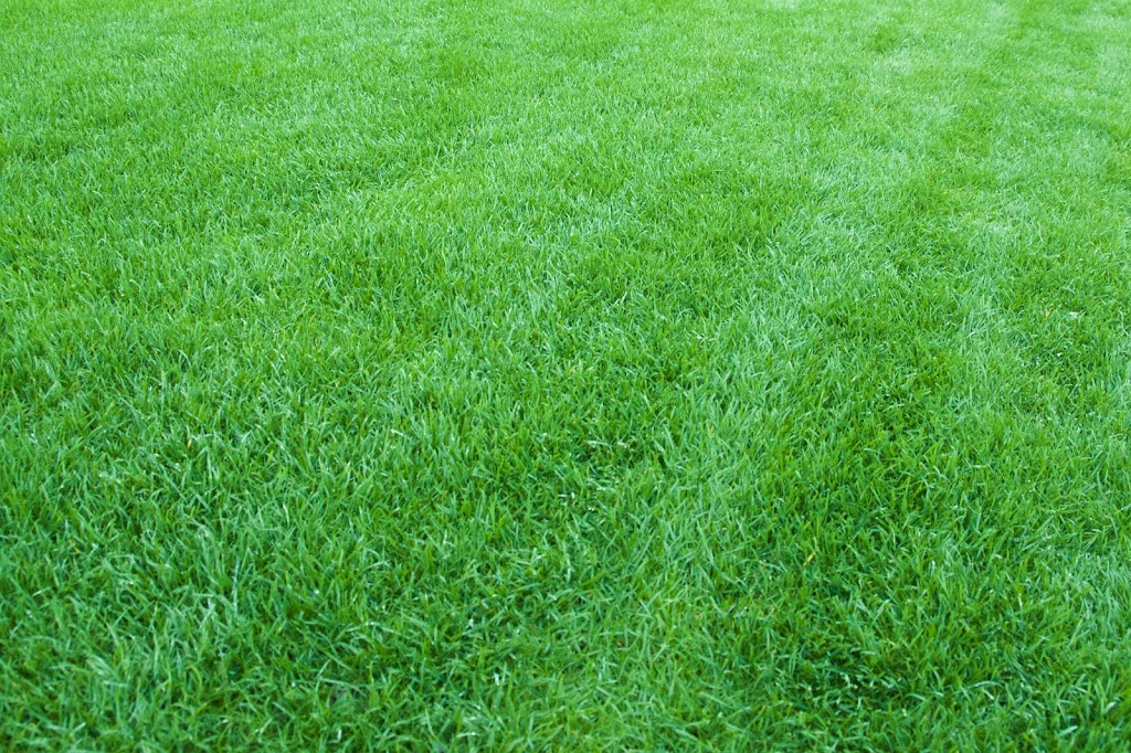 Terrastar Solutions Inc. | 830 Taylor Rd, Bowen Island, BC V0N 1G1, Canada | Phone: (877) 903-8600