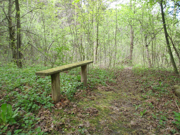 George G. Newton Nature Reserve | Kitchigami Rd, Goderich, ON N7A 7X3, Canada | Phone: (800) 440-2366