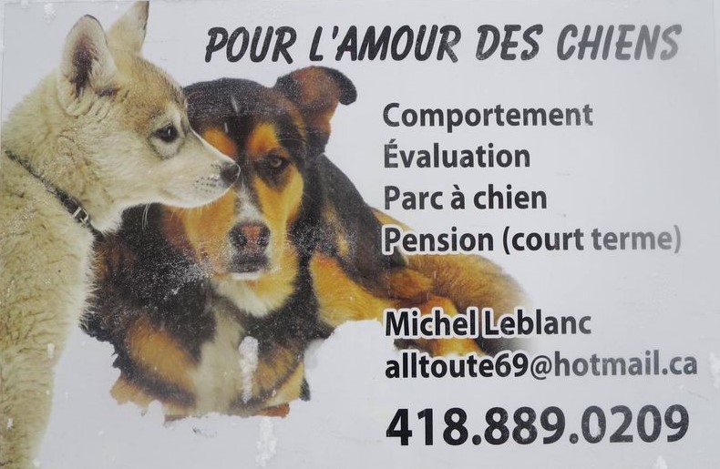 pour l,amour des chiens | 20 Rue Boutin, Lévis, QC G6J 1E8, Canada | Phone: (418) 889-0209