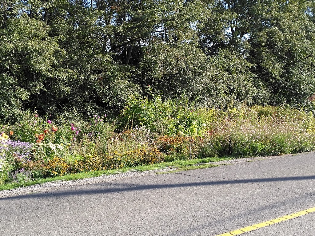 West Coast Horticultural Services | 9480 Finn Rd, Richmond, BC V7A 2L4, Canada | Phone: (604) 271-6520