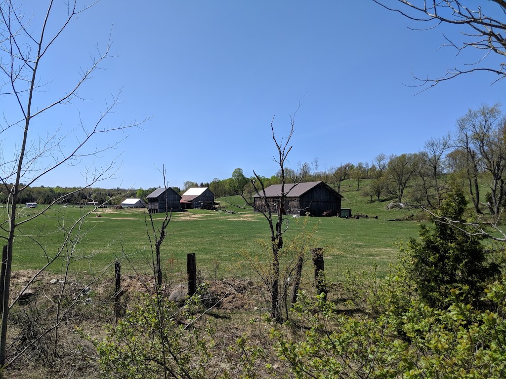 Haliburton County Rail Trail | Haliburton County Rail Trail, Haliburton, ON K0M, Canada | Phone: (705) 286-1762