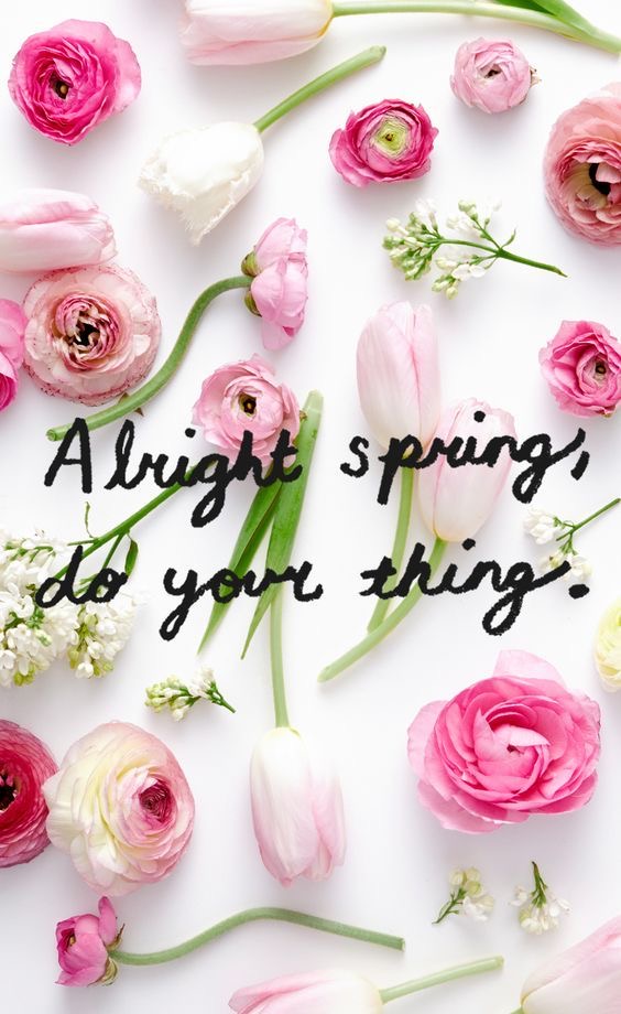 Chateau Ridge Salon & Spa | 23746 Rock Ridge Dr, Maple Ridge, BC V4R 2W2, Canada | Phone: (778) 886-0181