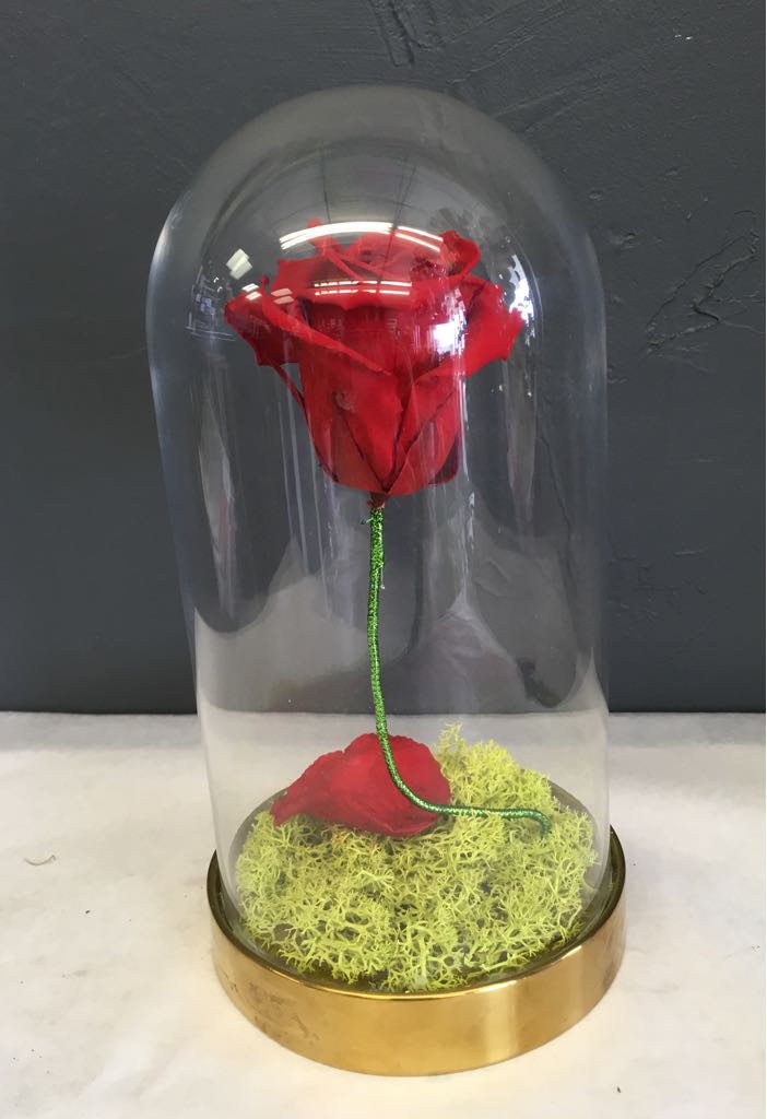 Select Flowers | 23-2425 Truscott Dr, Mississauga, ON L5J 2B4, Canada | Phone: (905) 822-1476