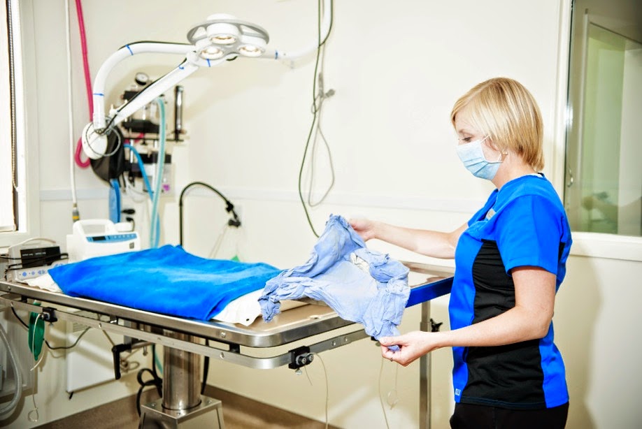 Maritime Animal Hospital (Moncton) | 1755 Main St, Moncton, NB E1E 1H2, Canada | Phone: (506) 389-2121