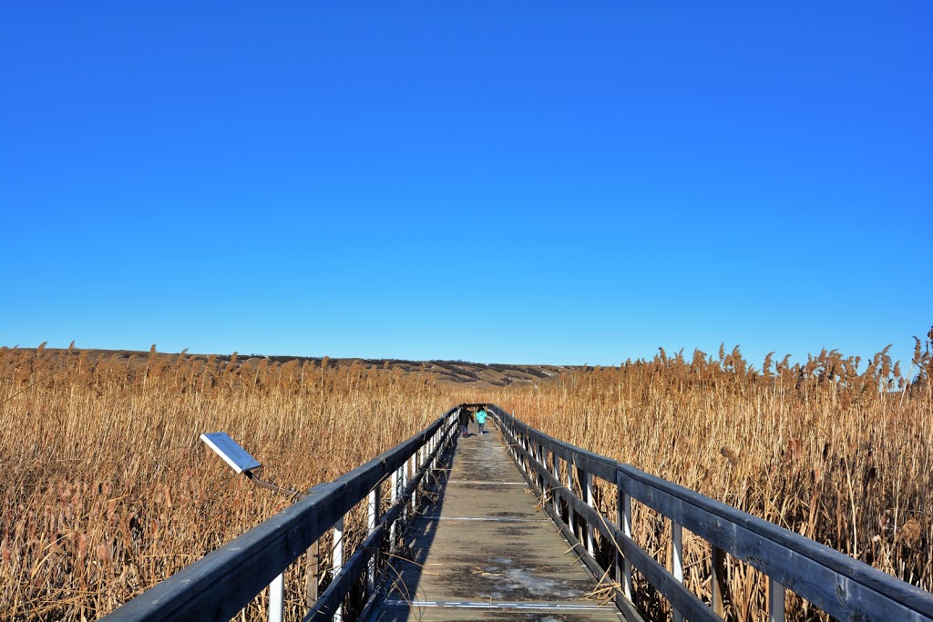 Buffalo Pound Provincial Park | Moose Jaw No. 161, SK S6H 6V2, Canada | Phone: (306) 694-3320