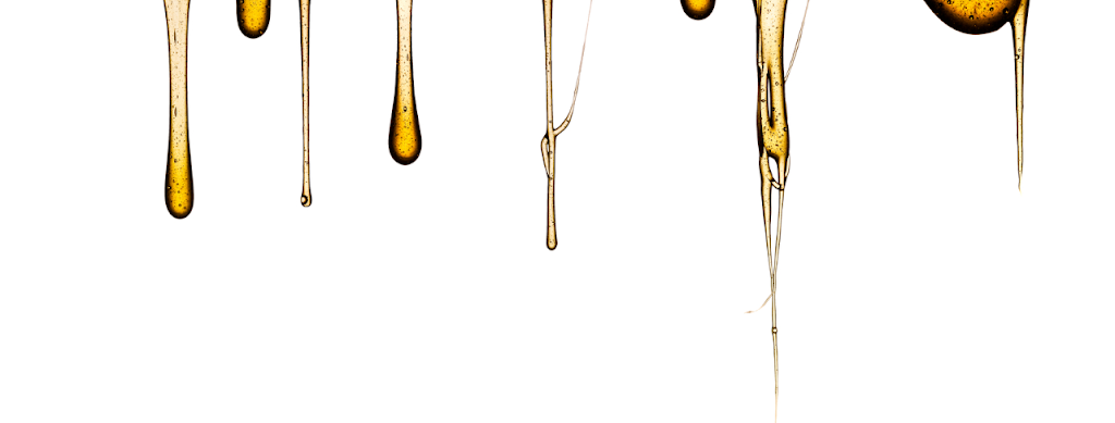 NaturOphile | 829 1e Rang, Saint-Étienne-de-Bolton, QC J0E 2E0, Canada | Phone: (819) 847-0805