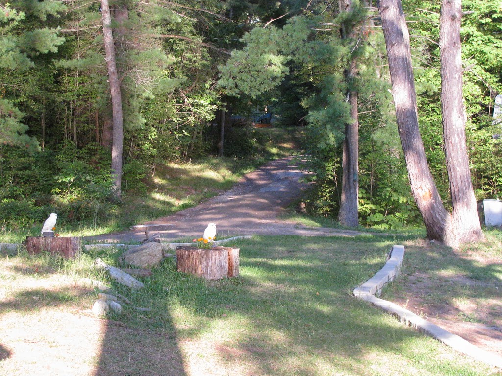 Reids Lake Campground | 120 Reids Lake Lane, Renfrew, ON K7V 3Z7, Canada | Phone: (613) 724-7583