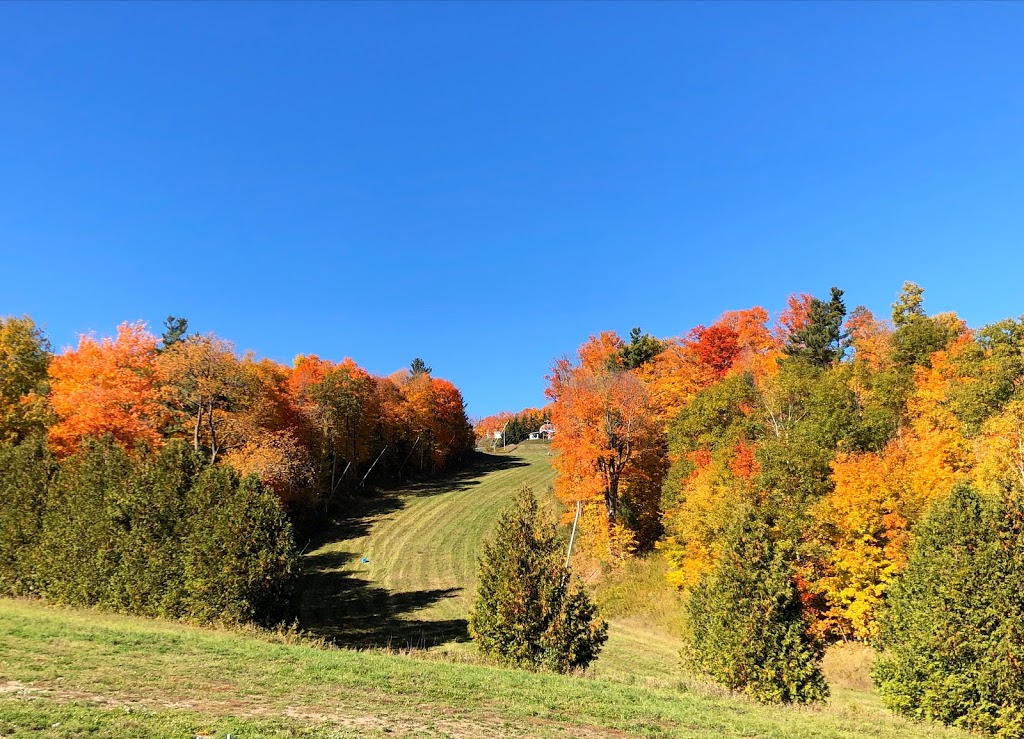 Lakeridge Ski Resort | 790 Chalk Lake Rd, Uxbridge, ON L9P 1R4, Canada | Phone: (905) 649-2058