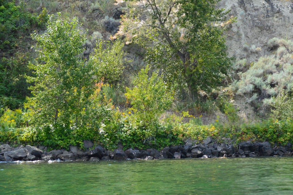 Property Finders Summerland | 22421 Bridgeman Rd, Summerland, BC V0H 1Z6, Canada | Phone: (250) 899-4888