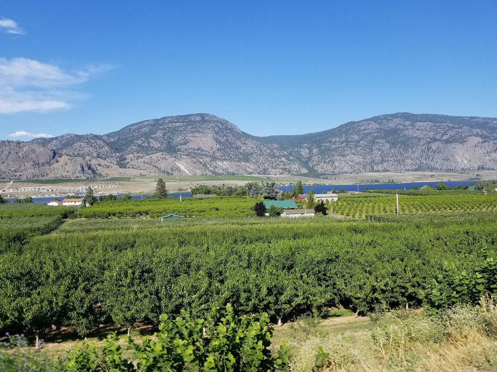 Peach Hill Farm Market | 9105 Okanagan Hwy, Osoyoos, BC V0H 1V2, Canada | Phone: (250) 495-5060