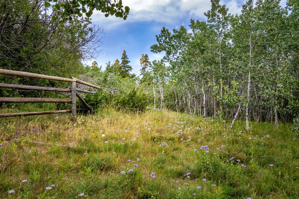 Chilko Lake RecSite | Cariboo J, BC V0L 1X0, Canada | Phone: (250) 394-7023
