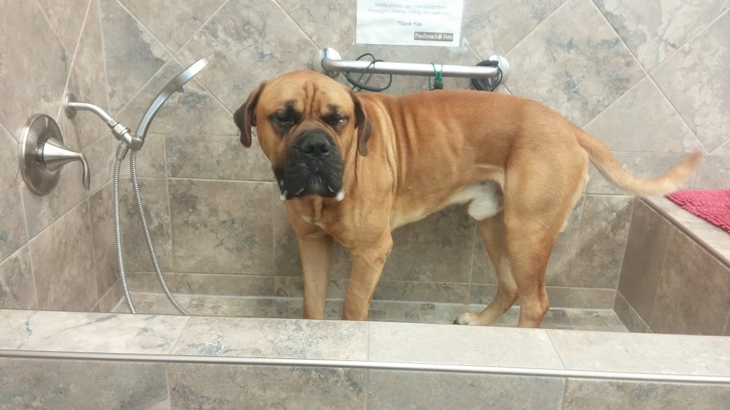 Paulmacs Pets | 4961 King St E Unit #10, Beamsville, ON L0R 1B0, Canada | Phone: (905) 563-1177