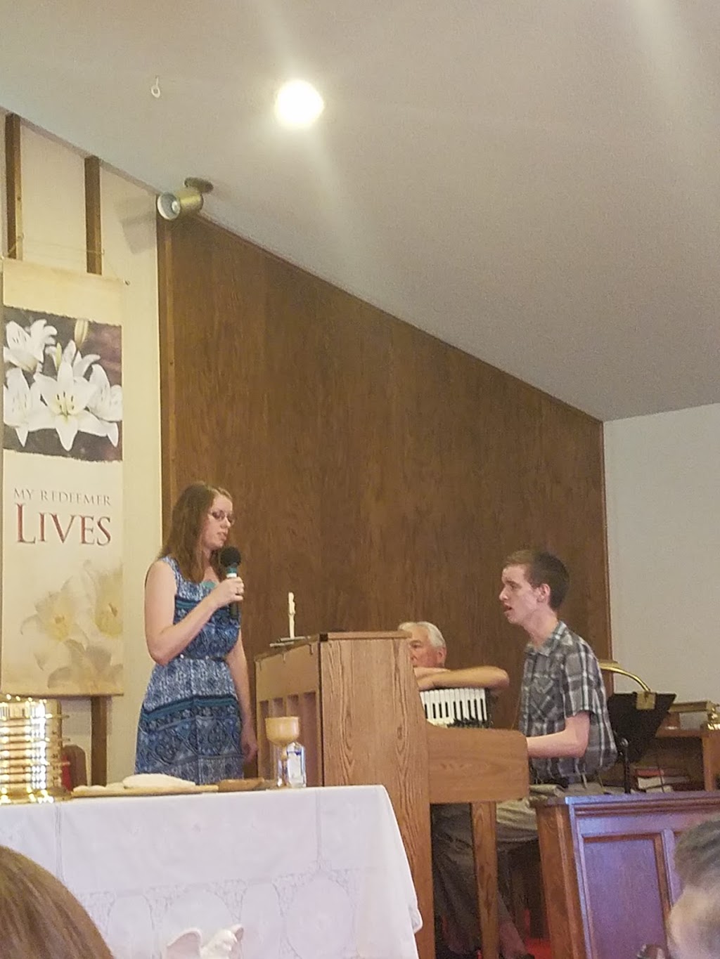 Cole United Methodist Church | 7015 Carson Rd, Brockway, MI 48097, USA | Phone: (810) 387-4400