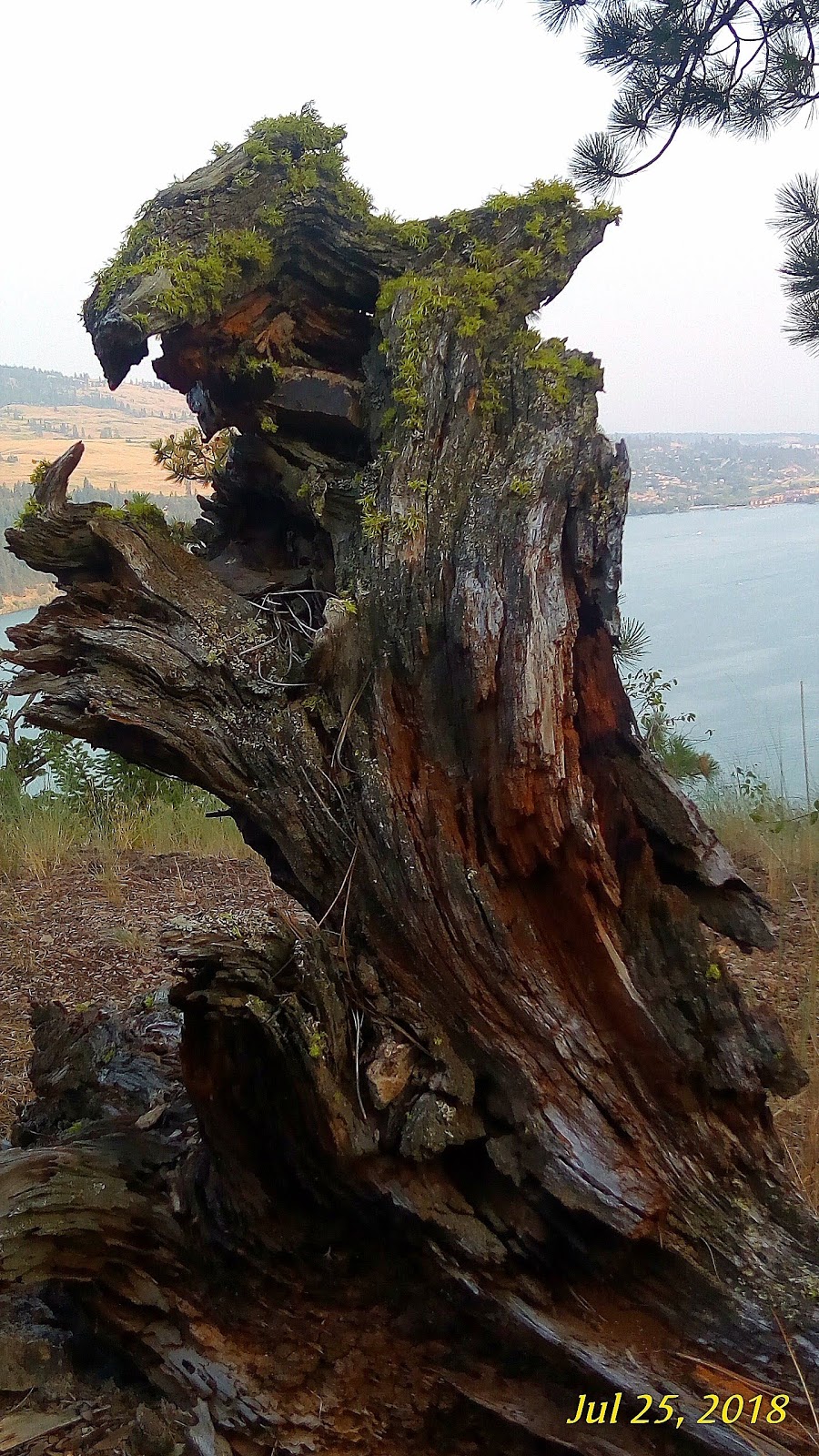 Spion Kop Trail - Pelmewash Trailhead | Pelmewash Pkwy, Lake Country, BC V4V 2H1, Canada