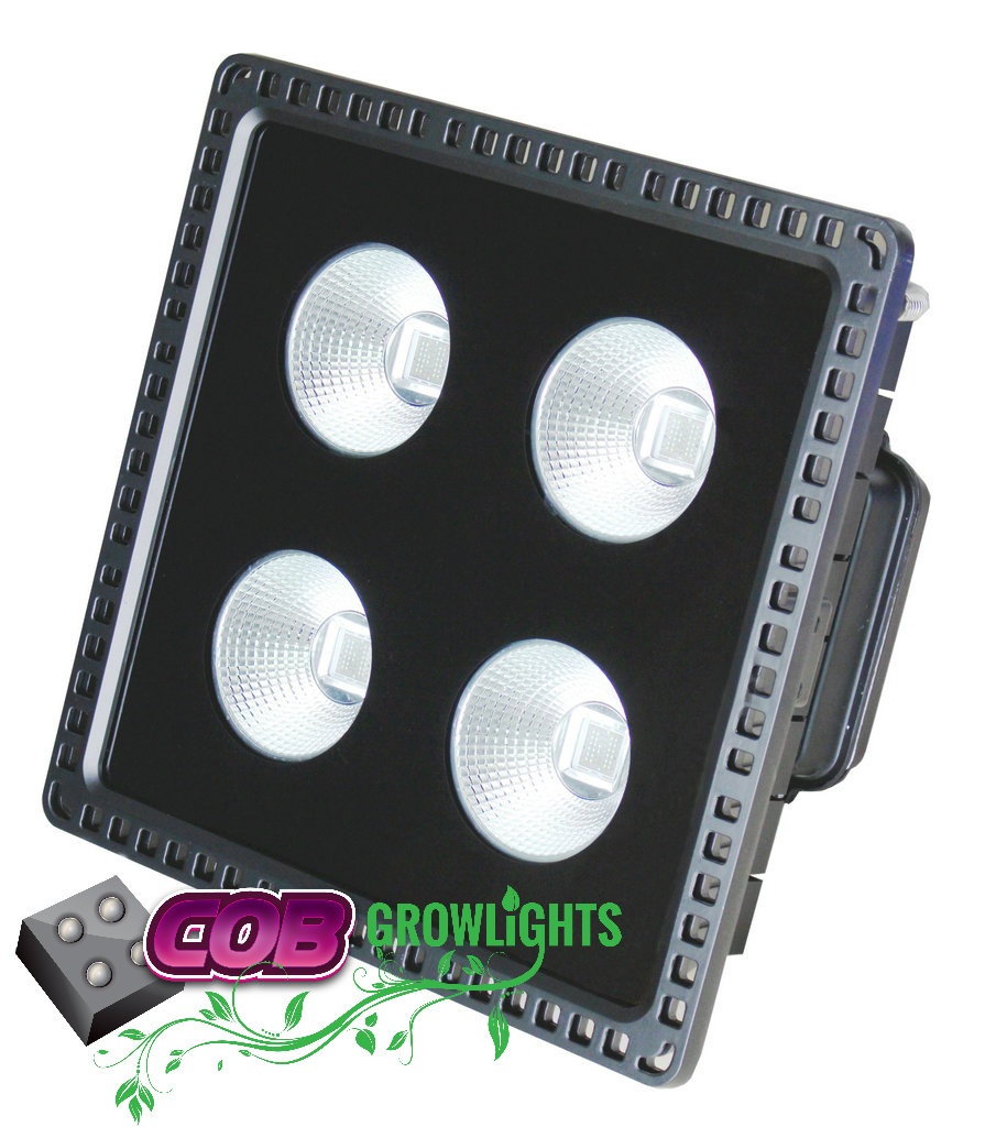 COB Grow Lights | 9079 Shaughnessy St #5, Vancouver, BC V6P 6R9, Canada | Phone: (877) 724-0291