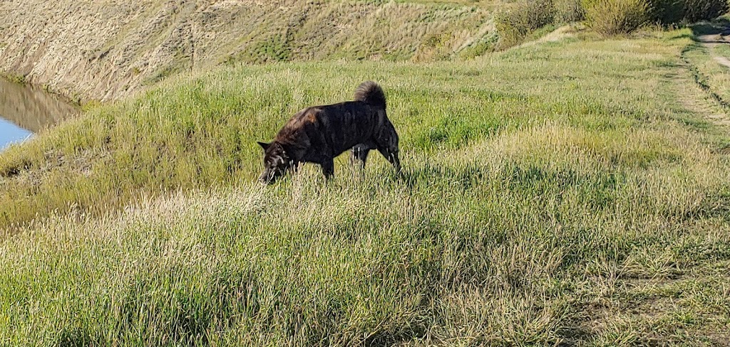 Kiwanis River Park | Moose Jaw, SK S0H 0N0, Canada | Phone: (306) 692-2717