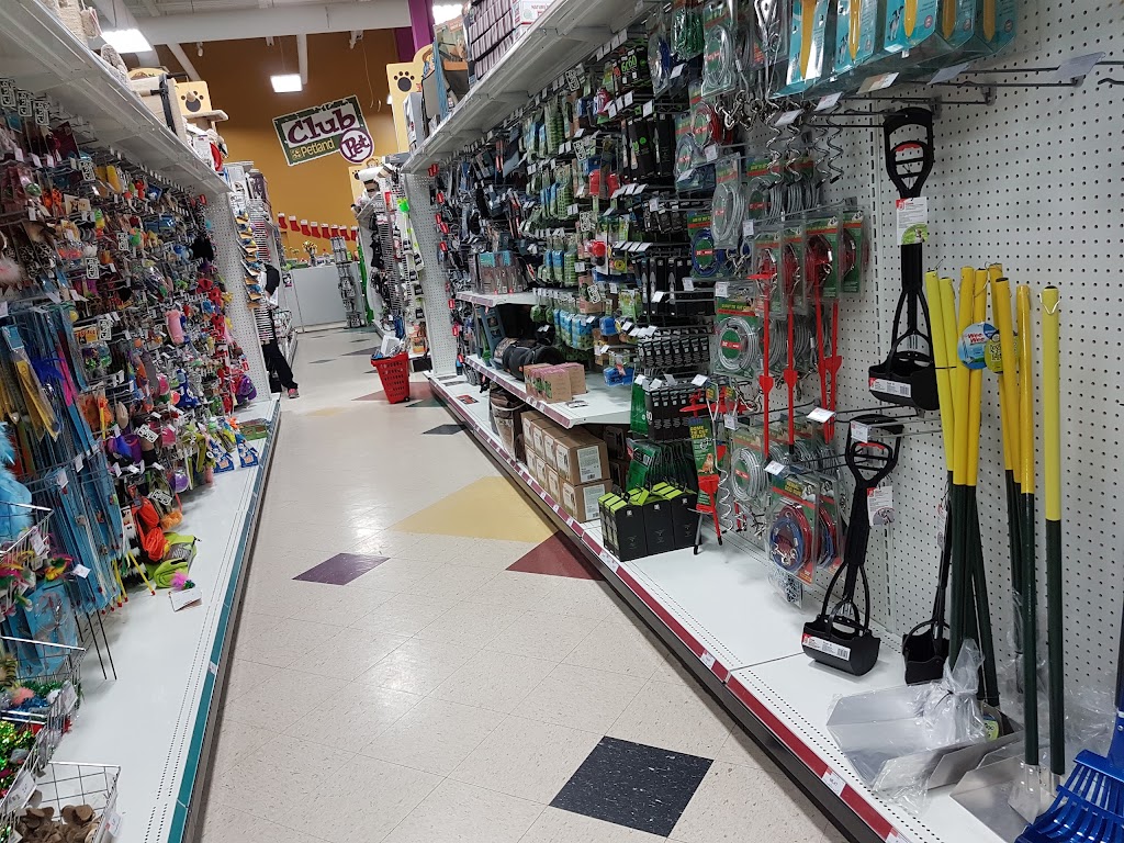 Petland Red Deer | 5250 22 St, Red Deer, AB T4R 2T4, Canada | Phone: (403) 309-4800