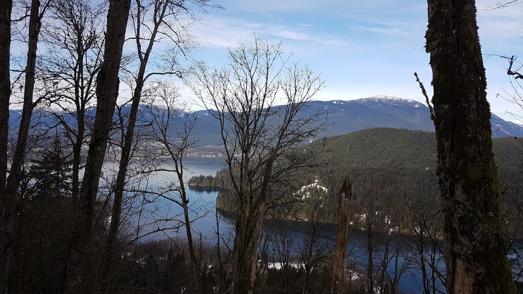Burnaby Mountain Biking and Hiking Trails | University Dr E, Burnaby, BC V5A 4Y8, Canada | Phone: (604) 294-7944
