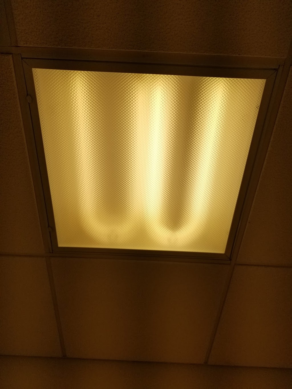 The Electrifying Dutchman | 149 Auburn Meadows Walk SE, Calgary, AB T3M 2E7, Canada | Phone: (403) 383-4878