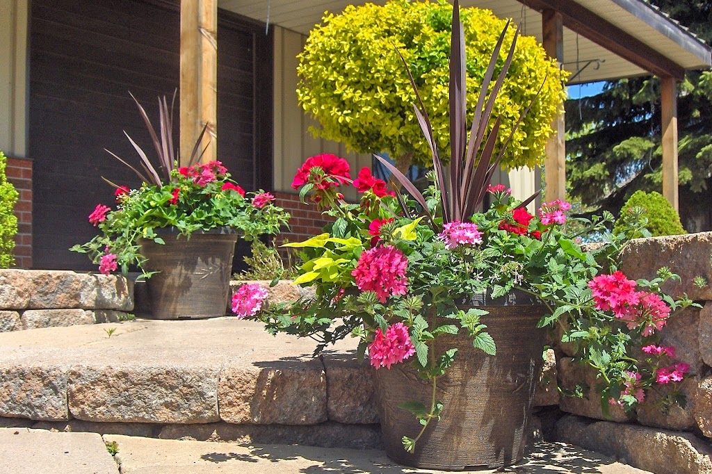 Scharringa Greenhouses Ltd | 379 Concession 4 W, Waterdown, ON L0R 2H2, Canada | Phone: (905) 689-5910