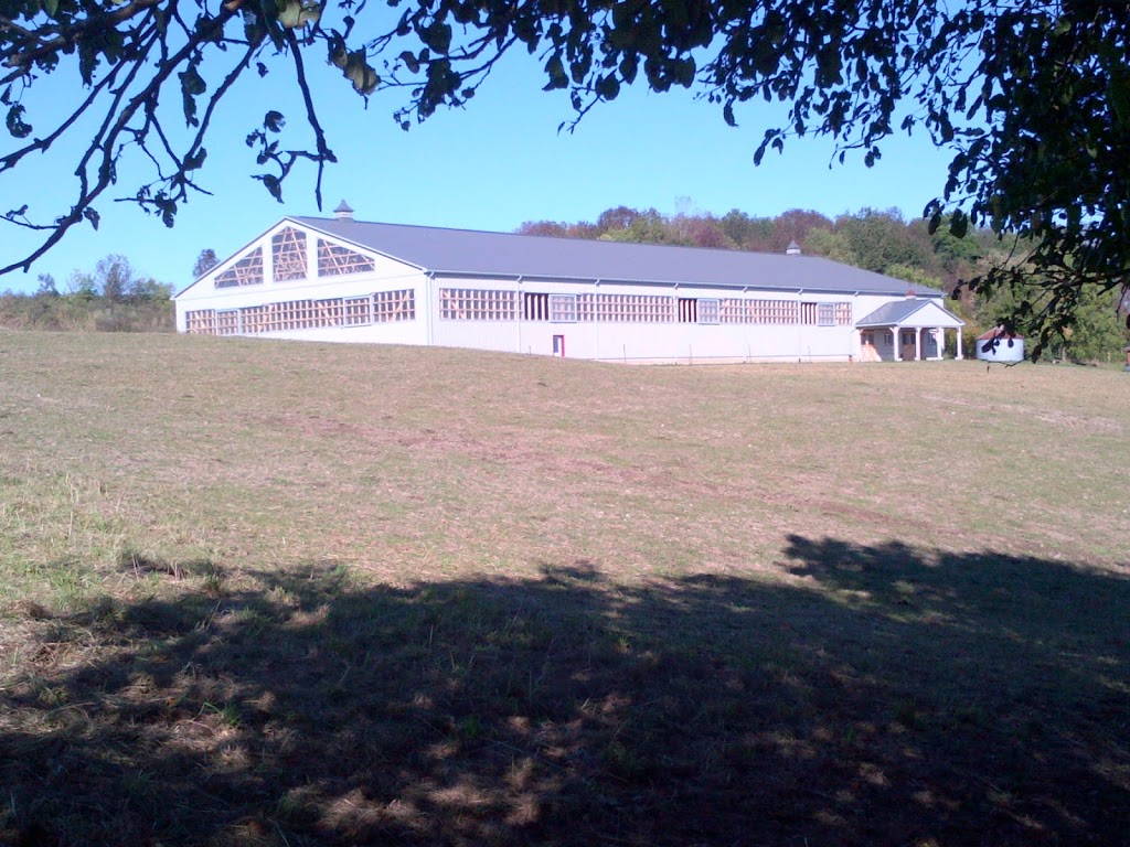 Jou Equine Reproduction Services | 289 Parkmount Dr, Waterloo, ON N2L 4M9, Canada | Phone: (519) 277-0627