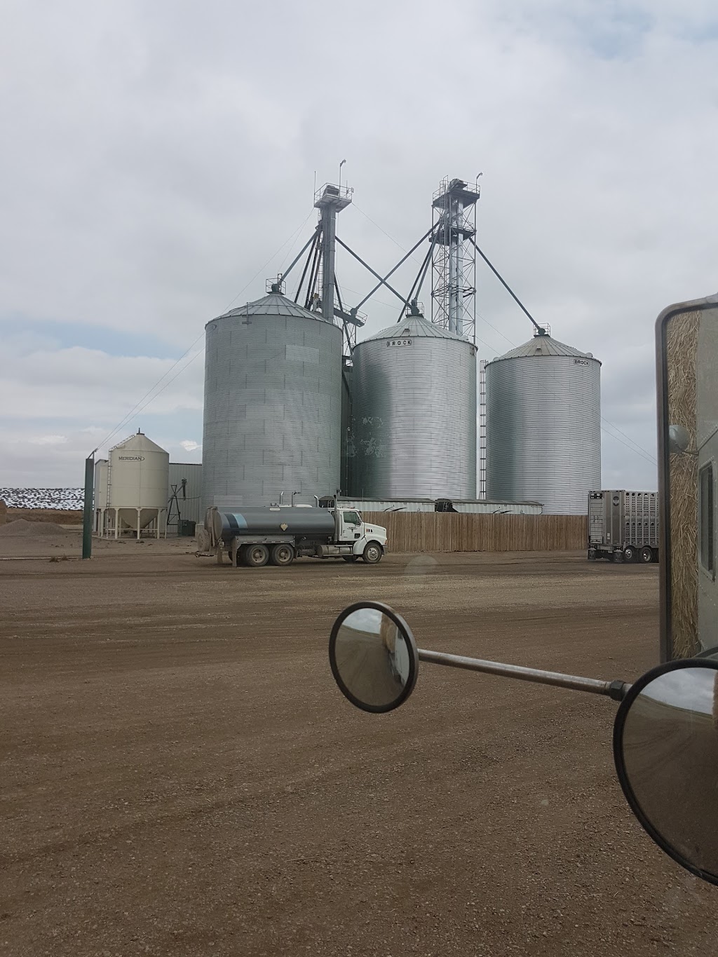 Grandview Cattle Feeders - North | Range Rd 224, Nobleford, AB T0L 1S0, Canada | Phone: (403) 732-4222