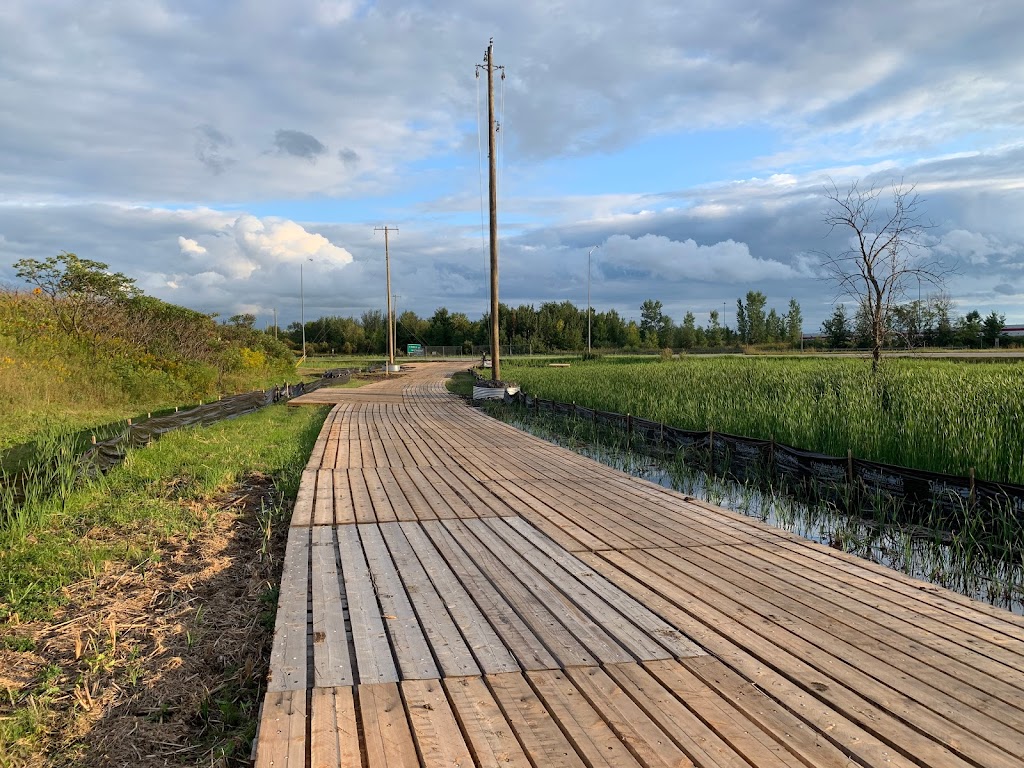 Northern Mat & Bridge | 207221, ON-9, Orangeville, ON L9W 2Z2, Canada | Phone: (519) 940-0400