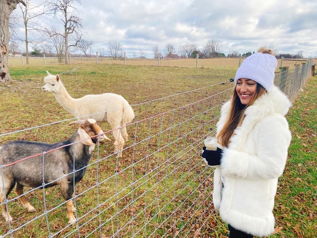 Riverside oasis farm | 6696 Canborough Rd, Wellandport, ON L0R 2J0, Canada | Phone: (289) 442-5733