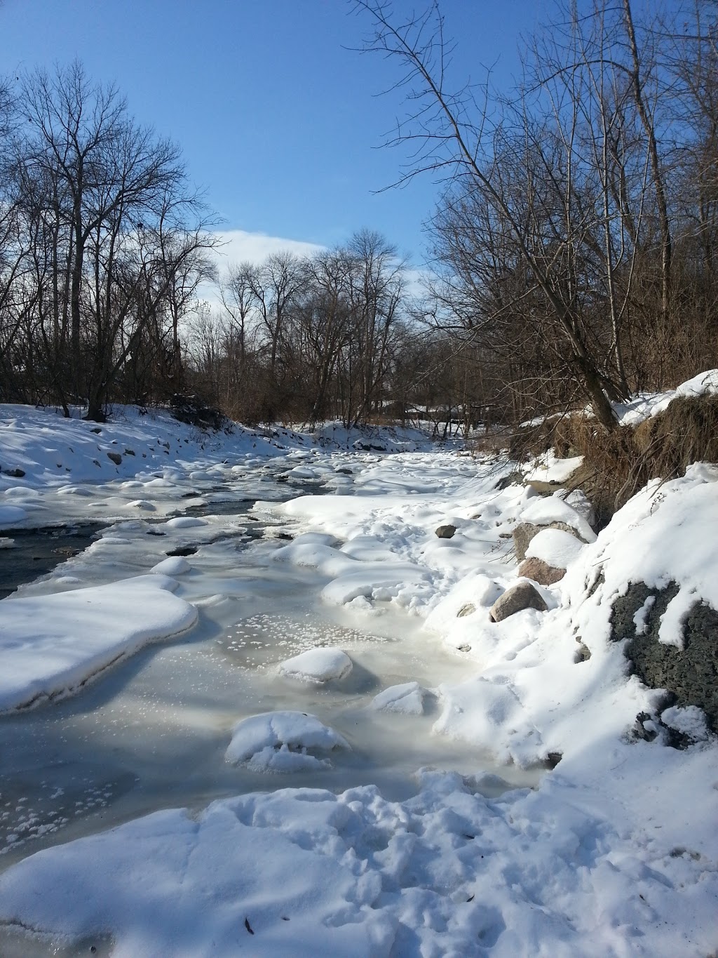 Spring Garden Park | 32 Meadowcrest Rd, Etobicoke, ON M8Z, Canada | Phone: (416) 338-4386