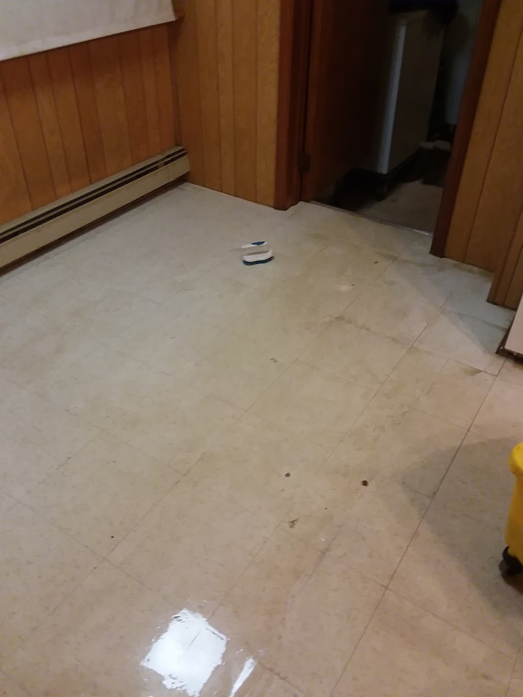 Tiger carpet care | 5495 Orchard Dr, East China, MI 48054, USA | Phone: (810) 420-0341