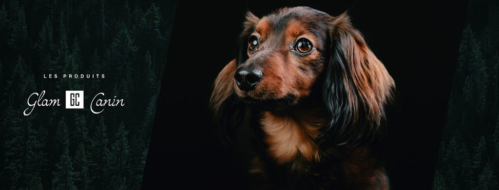 Institut Glam Canin | 1071 Bd Raymond, Québec, QC G1B 2R5, Canada | Phone: (581) 398-2216