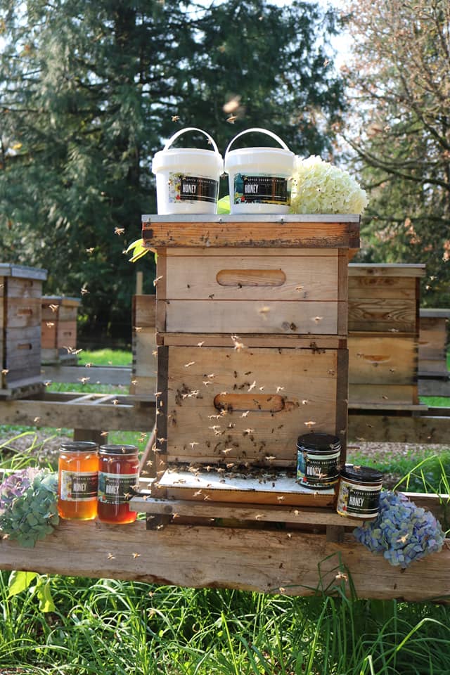 Alpine Honey | 1201 Commercial Way Unit 304, Squamish, BC V8B 0A4, Canada | Phone: (778) 322-5812