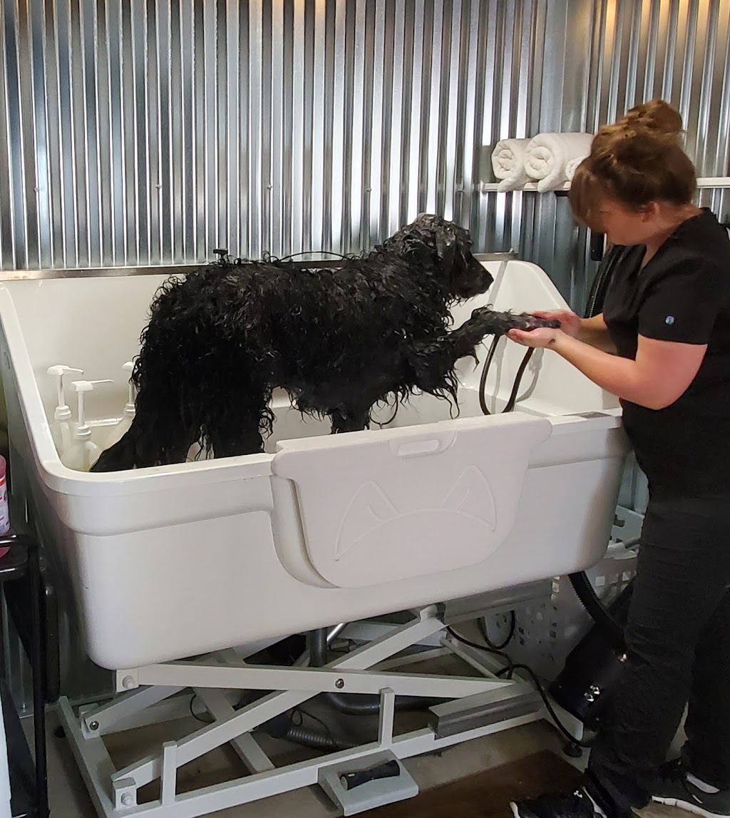 Pawsh Mountain Pet Spa | 210 2A Ave, Cowley, AB T0K 0P0, Canada | Phone: (778) 745-0154
