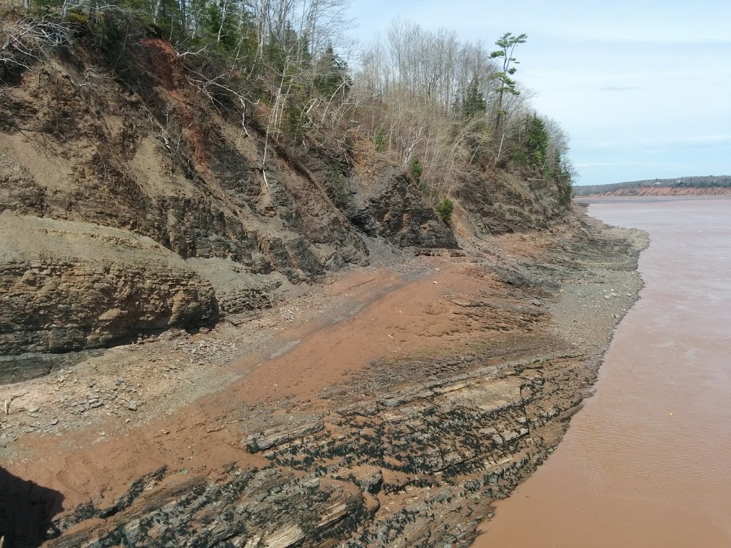 Fundy Tidal Interpretive Centre | 9865 Nova, Scotia 236, Maitland, NS B0N 1T0, Canada | Phone: (902) 261-2250