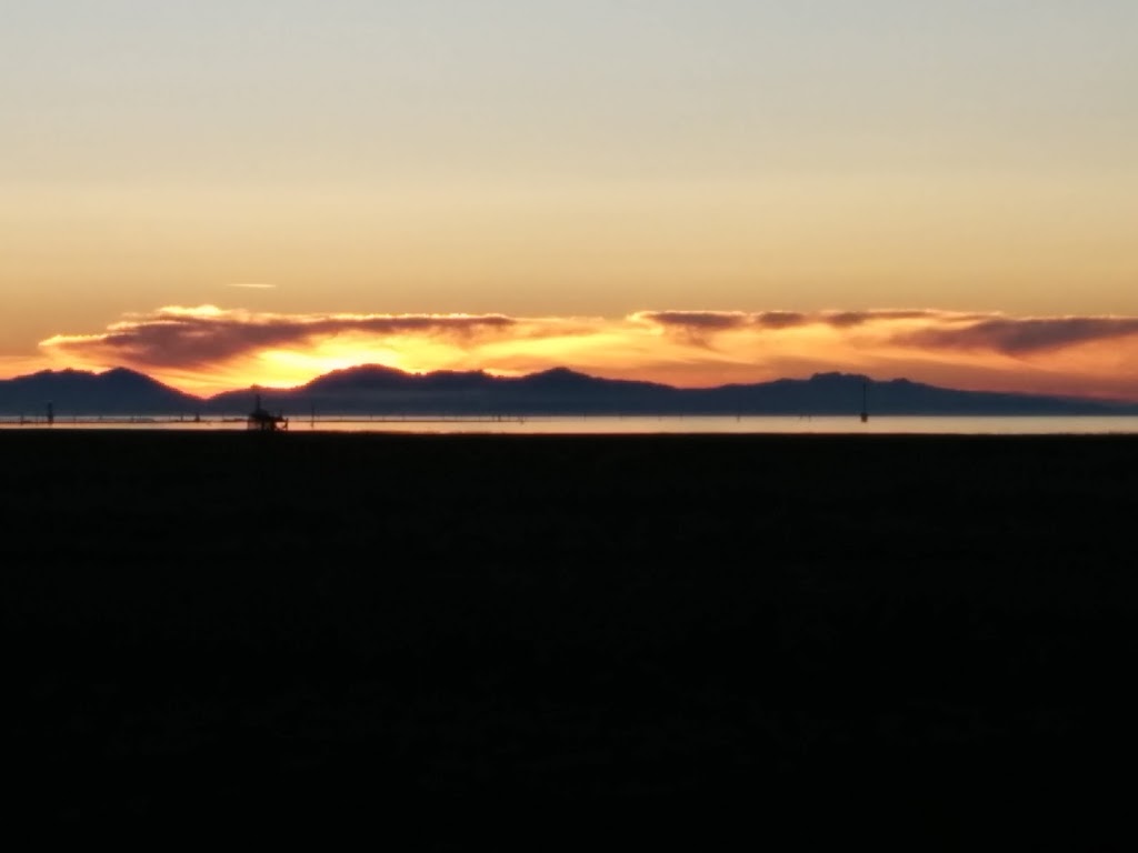 Sunset Point Housing Co-Op | 2960 Steveston Hwy, Richmond, BC V7E 6C9, Canada | Phone: (604) 271-4904