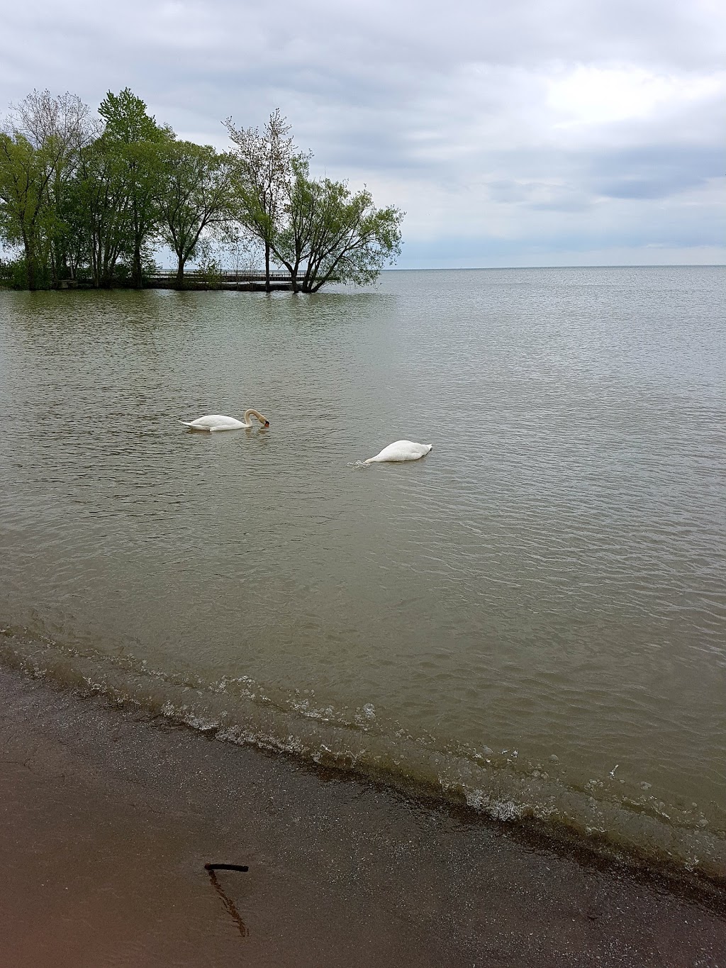 Northshore Boatworks | 2508 Lakeshore Rd W, Oakville, ON L6L 1H8, Canada | Phone: (905) 825-2628