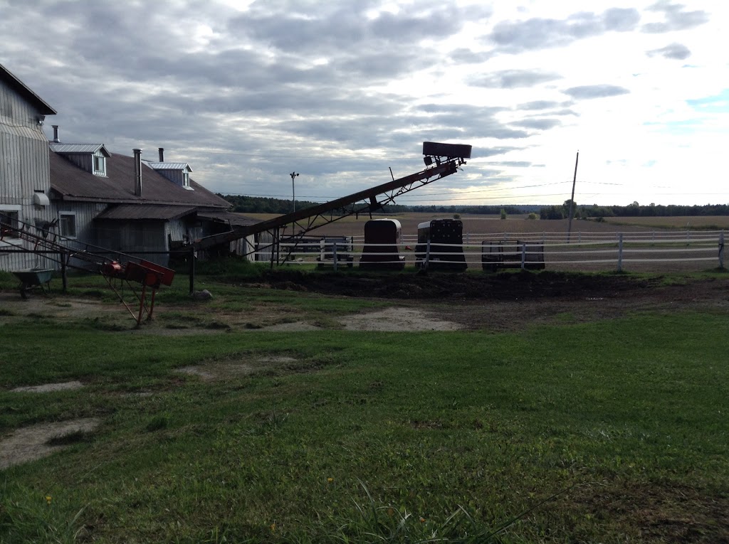 Centre Equestre La Chevalerie | 1520 Grand Rang Saint-Charles, Saint-Paul-dAbbotsford, QC J0E 1A0, Canada | Phone: (450) 379-9381