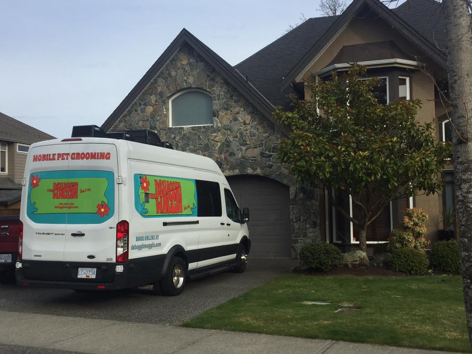 The Dshaggin Waggin Mobile Pet Groomer | 100 Aldersmith Pl A6, Victoria, BC V9A 7M8, Canada | Phone: (250) 590-8121