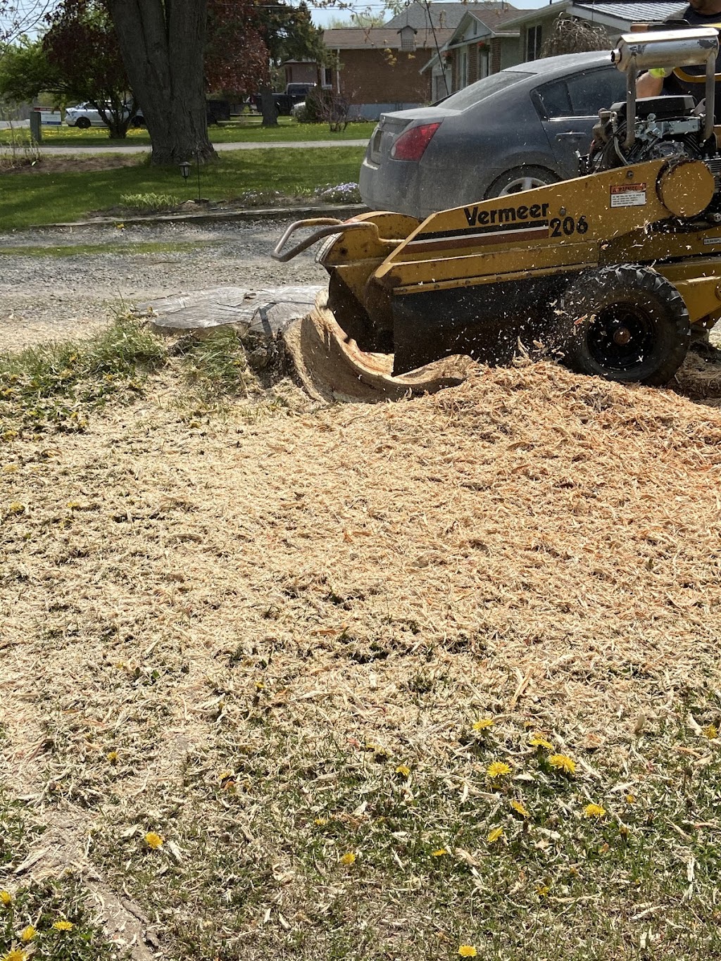 Bayne’s stump grinding | 2454 N School Rd, Havelock, ON K0L 1Z0, Canada | Phone: (705) 768-1787