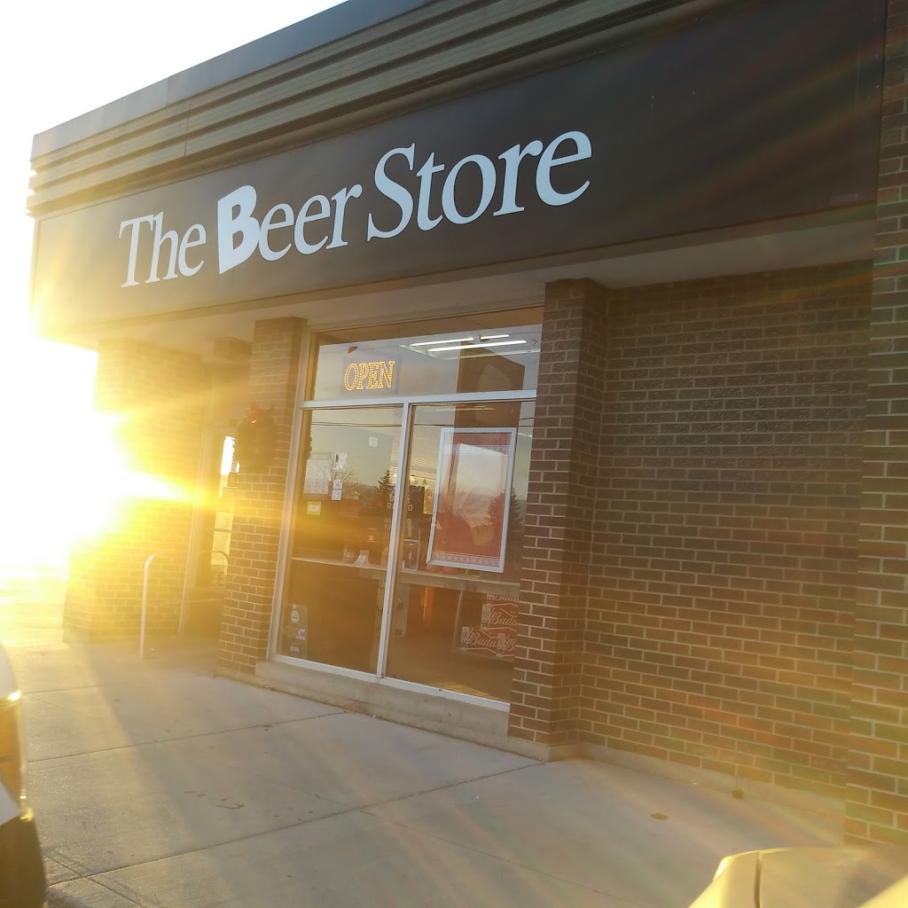 Beer Store | 55 Main St N, Hagersville, ON N0A 1H0, Canada | Phone: (905) 768-1064