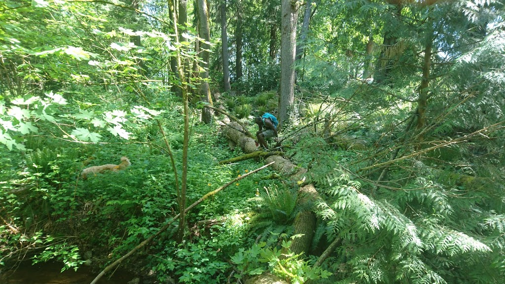 McKee Creek Park | Upper Ten Oaks, Abbotsford, BC V2S 6K6, Canada | Phone: (604) 853-2281