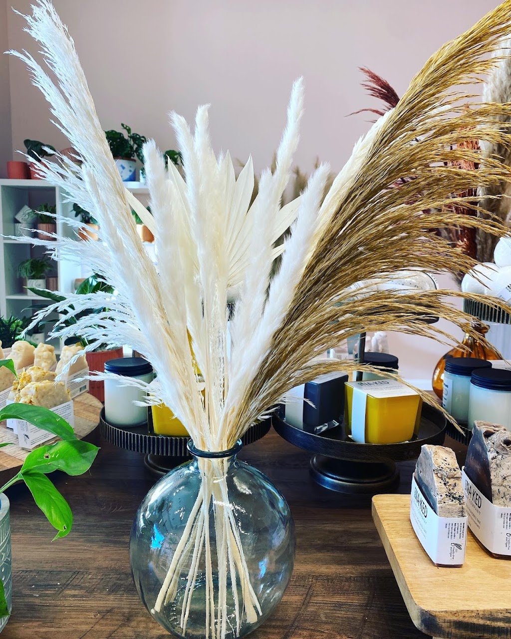 Arterior - Home Decor, Plants, Gifts | 128 Burnhamthorpe Rd E, Oakville, ON L6H 7C8, Canada | Phone: (905) 216-2804