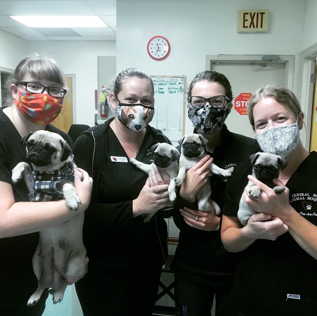 Central Nova Animal Hospital | 29 Main St, Truro, NS B2N 4G5, Canada | Phone: (902) 893-4331