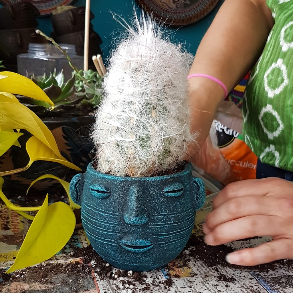 The Feathered Serpent | 203 Calvington Dr, North York, ON M3M 2M8, Canada | Phone: (647) 568-8215
