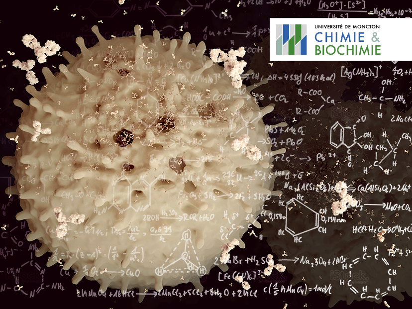 Conseil étudiant de chimie et biochimie - Université de Moncton | 18 Antonine-Maillet Ave, Moncton, NB E1A 3E9, Canada | Phone: (506) 858-4331