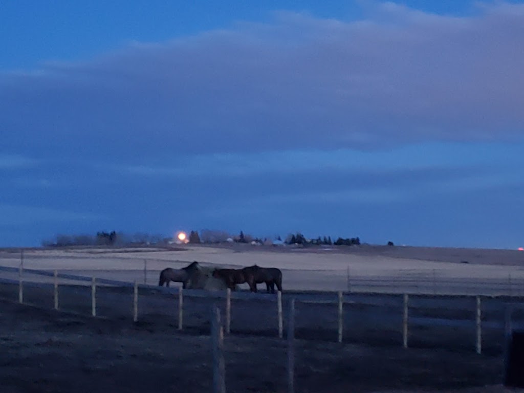 Fantasy Ridge Farms | 21131 Big Hill Springs Rd, Calgary, AB T3R 1K5, Canada | Phone: (403) 485-1655