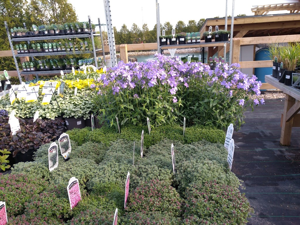 Baseline Nursery and Garden Centre | 9070 Elviage Dr, London, ON N6K 4N5, Canada | Phone: (519) 657-1265