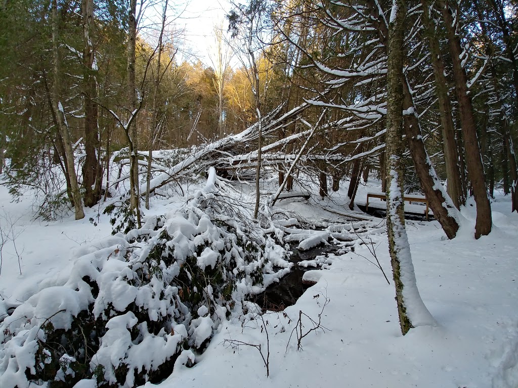 Ganaraska Forest Centre | 10585 Cold Springs Camp Rd, Campbellcroft, ON L0A 1B0, Canada | Phone: (905) 885-8173