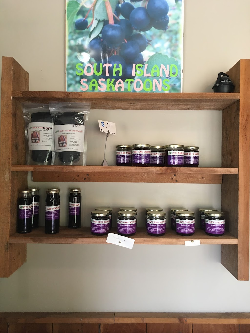 Saskatoon Berry Farm | 1245 Fisher Rd, Cobble Hill, BC V0R 1L4, Canada | Phone: (250) 743-9464