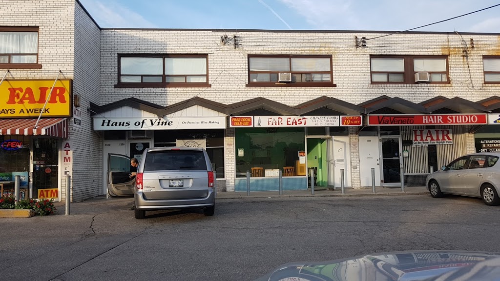 Far East Chinese Food | 137 Martin Grove Rd, Etobicoke, ON M9B 4K8, Canada | Phone: (416) 231-3387